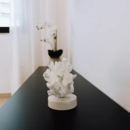 Appartement Terra X *