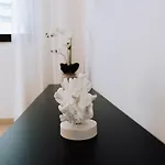 Apartament Terra X *