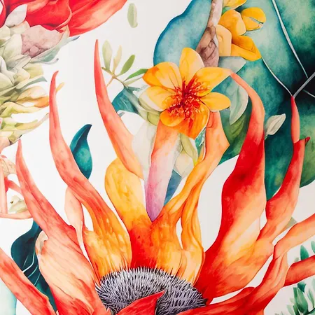 Terra X Διαμέρισμα Φάρο