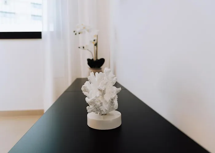 Apartamento Terra X *